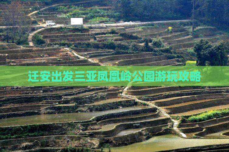 迁安出发三亚凤凰岭公园游玩攻略