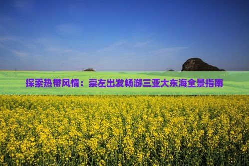 探索热带风情：崇左出发畅游三亚大东海全景指南