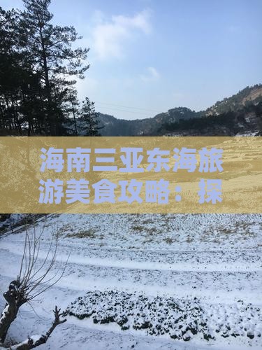 海南三亚东海旅游美食攻略：探寻小吃之旅