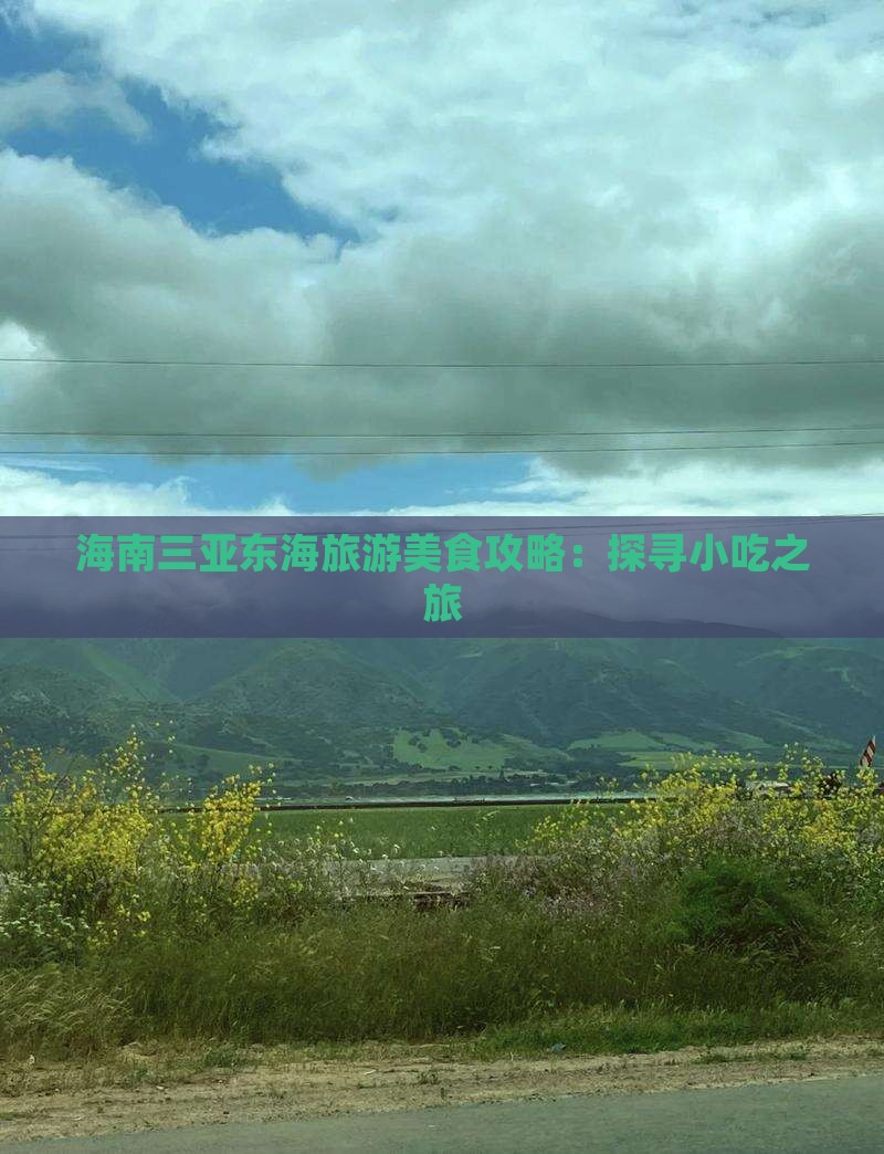 海南三亚东海旅游美食攻略：探寻小吃之旅