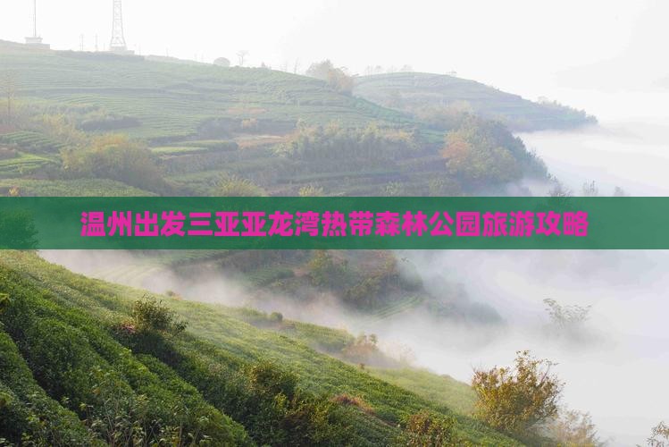 温州出发三亚亚龙湾热带森林公园旅游攻略
