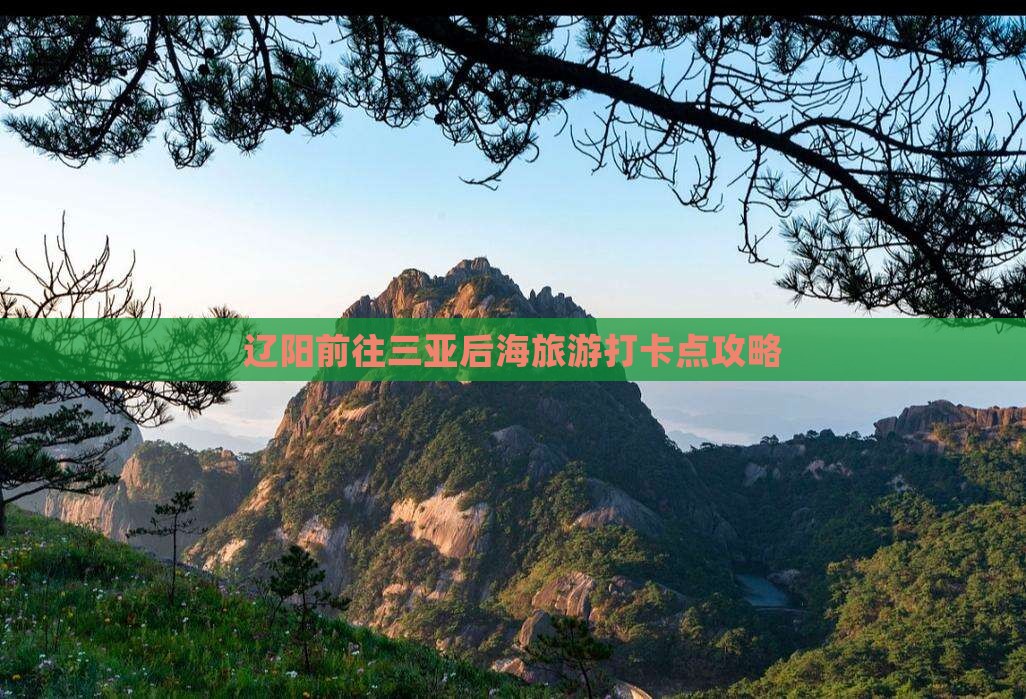 辽阳前往三亚后海旅游打卡点攻略