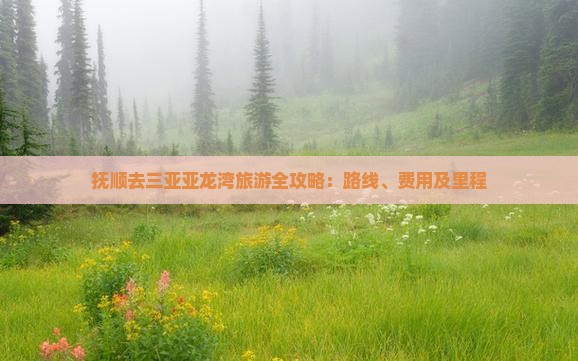 抚顺去三亚亚龙湾旅游全攻略：路线、费用及里程