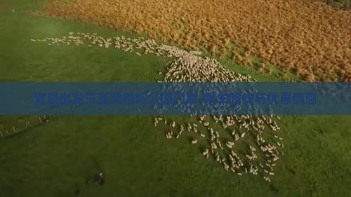 宜昌出发三亚凤凰岭公园门票-乘车路线与优惠信息