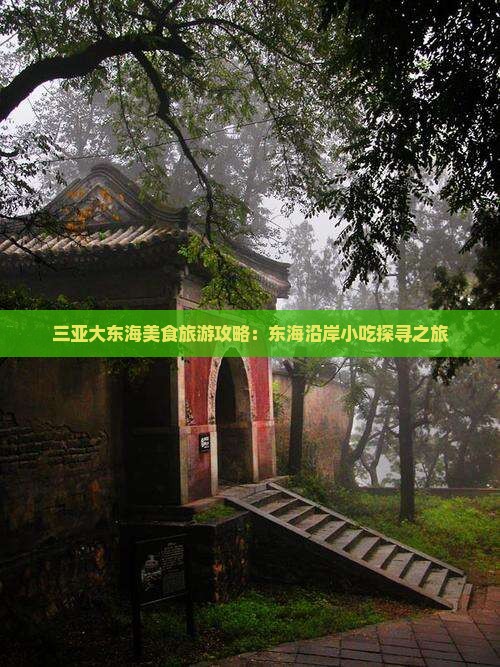 三亚大东海美食旅游攻略：东海沿岸小吃探寻之旅