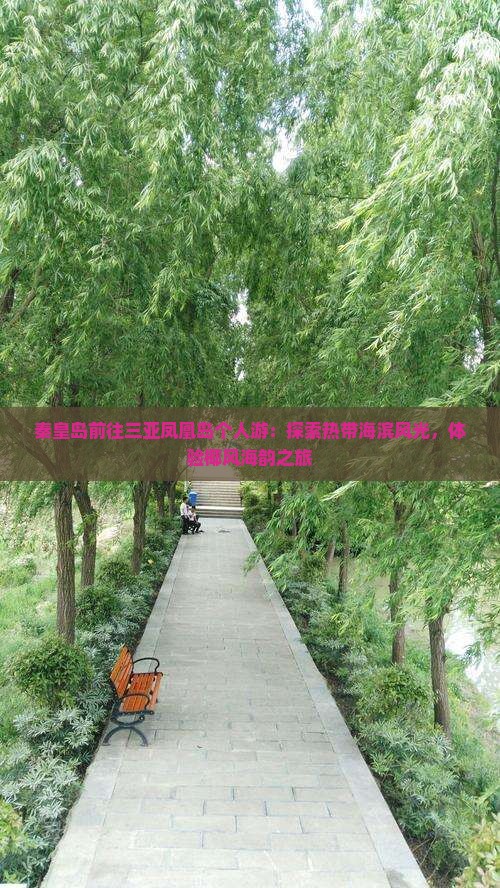 秦皇岛前往三亚凤凰岛个人游：探索热带海滨风光，体验椰风海韵之旅