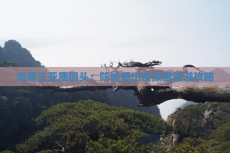 海南三亚鹿回头：防城港出发深度旅游攻略