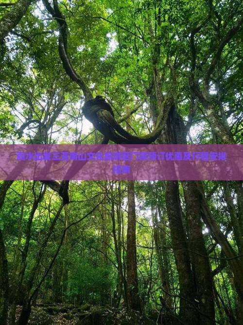 丽水出发三亚南山文化旅游区门票预订优惠及行程安排指南