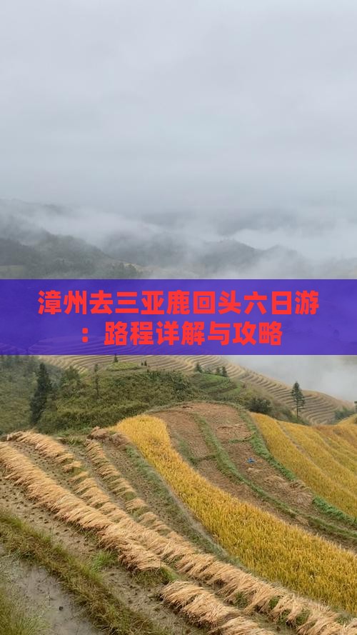 漳州去三亚鹿回头六日游：路程详解与攻略