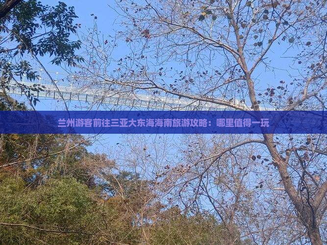 兰州游客前往三亚大东海海南旅游攻略：哪里值得一玩