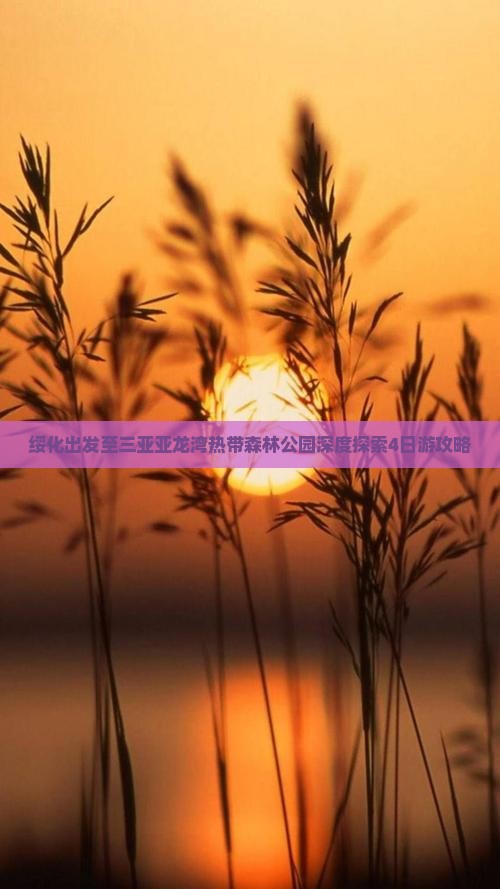 绥化出发至三亚亚龙湾热带森林公园深度探索4日游攻略