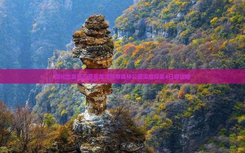绥化出发至三亚亚龙湾热带森林公园深度探索4日游攻略