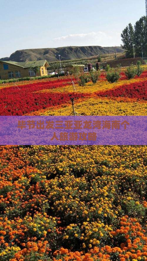毕节出发三亚亚龙湾海南个人旅游攻略