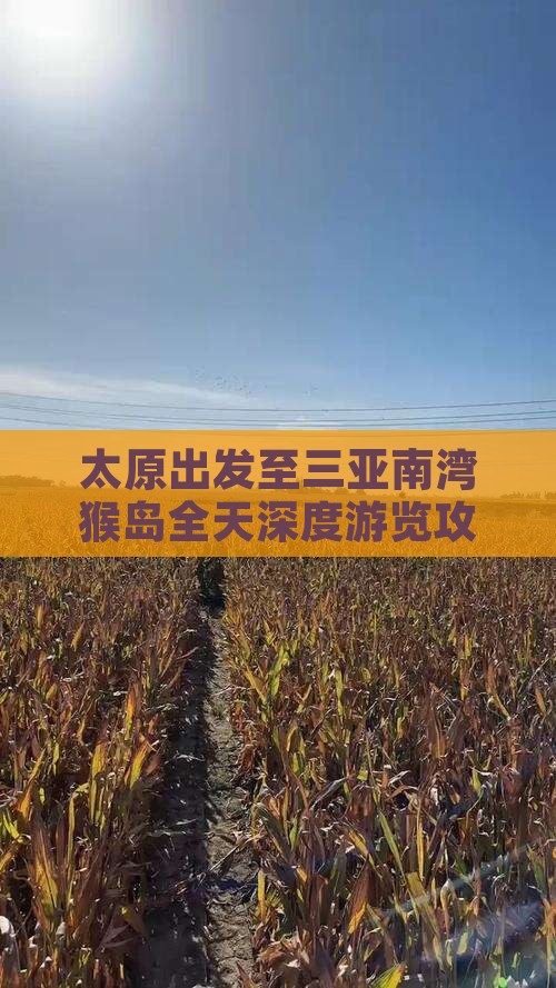 太原出发至三亚南湾猴岛全天深度游览攻略