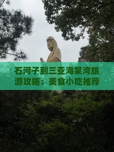 石河子到三亚海棠湾旅游攻略：美食小吃推荐
