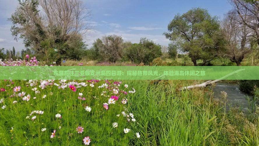 东营前往三亚蜈支洲岛四日游：探秘热带风光，体验海岛休闲之旅