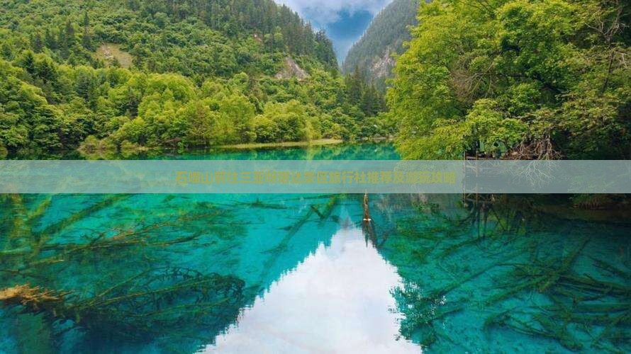 石嘴山前往三亚呀诺达景区旅行社推荐及游玩攻略