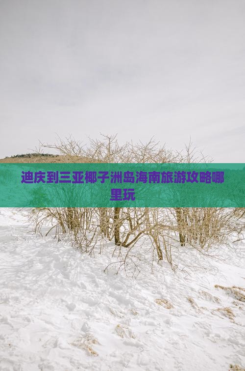 迪庆到三亚椰子洲岛海南旅游攻略哪里玩