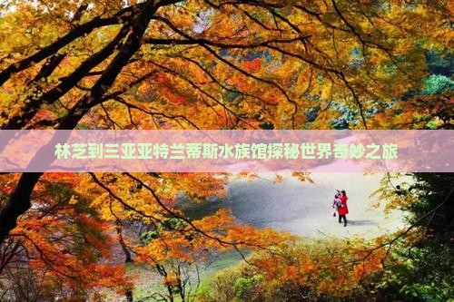 林芝到三亚亚特兰蒂斯水族馆探秘世界奇妙之旅