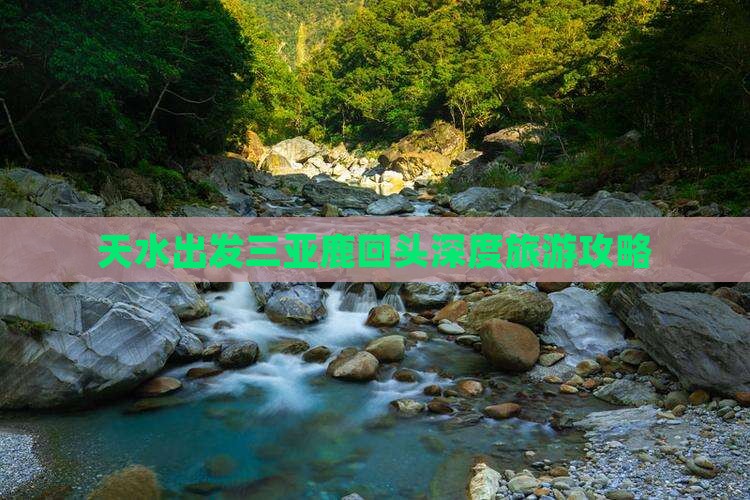 天水出发三亚鹿回头深度旅游攻略