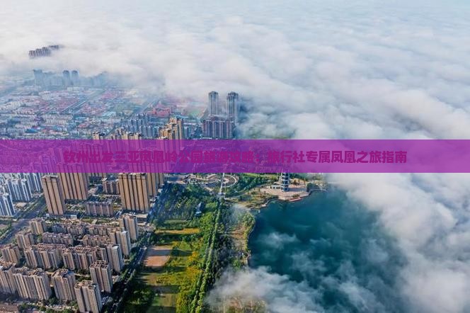 钦州出发三亚凤凰岭公园旅游攻略：旅行社专属凤凰之旅指南