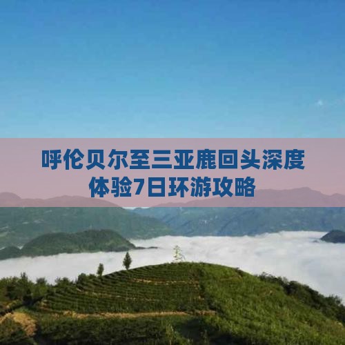 呼伦贝尔至三亚鹿回头深度体验7日环游攻略