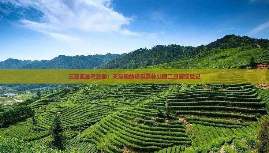三亚亚龙湾攻略：天堂般的热带森林公园二日游探险记