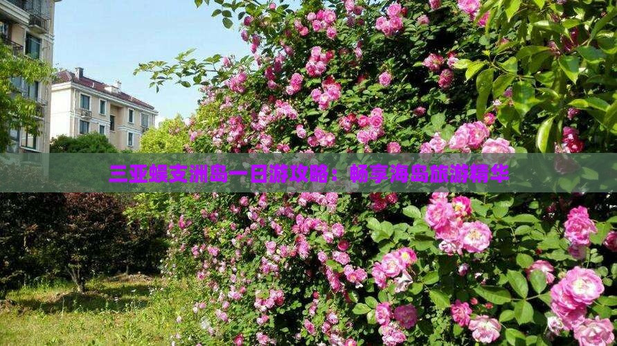 三亚蜈支洲岛一日游攻略：畅享海岛旅游精华
