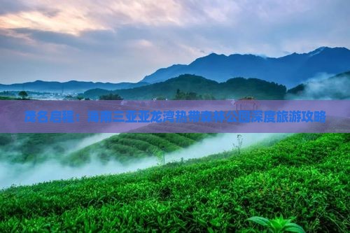 茂名启程：海南三亚亚龙湾热带森林公园深度旅游攻略