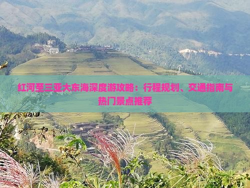 红河至三亚大东海深度游攻略：行程规划、交通指南与热门景点推荐