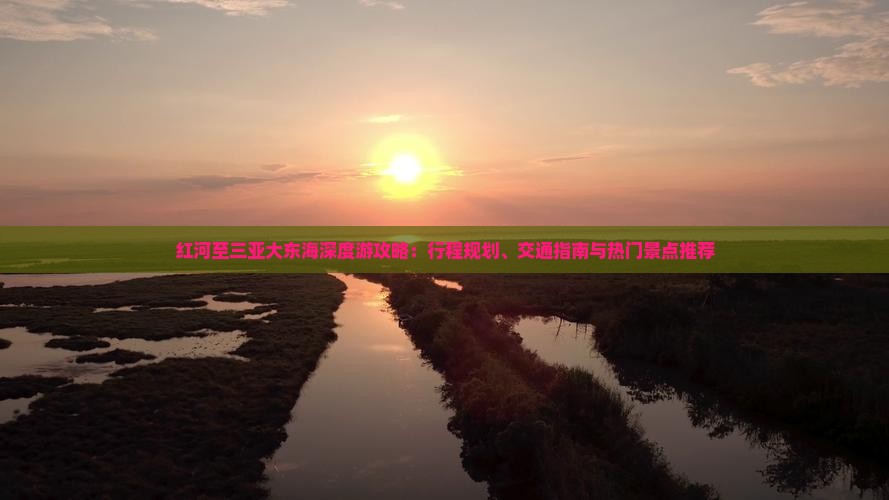 红河至三亚大东海深度游攻略：行程规划、交通指南与热门景点推荐