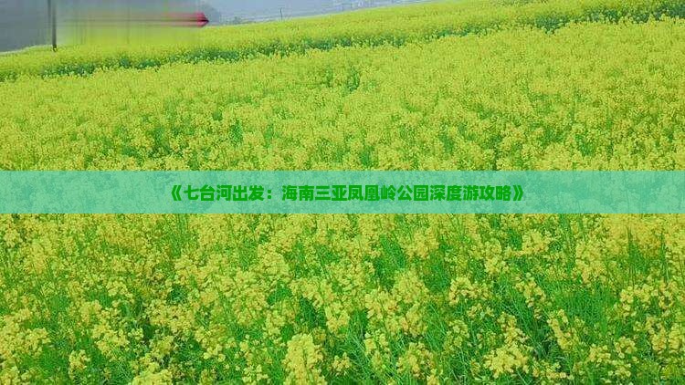 《七台河出发：海南三亚凤凰岭公园深度游攻略》