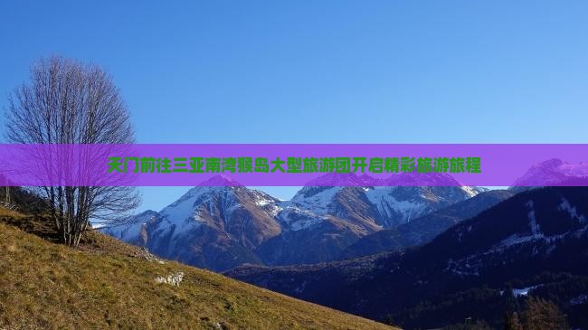 天门前往三亚南湾猴岛大型旅游团开启精彩旅游旅程