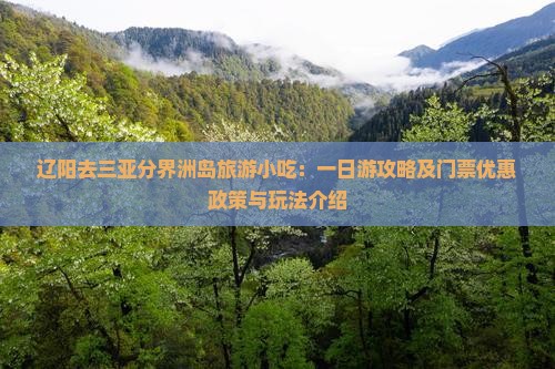 辽阳去三亚分界洲岛旅游小吃：一日游攻略及门票优惠政策与玩法介绍