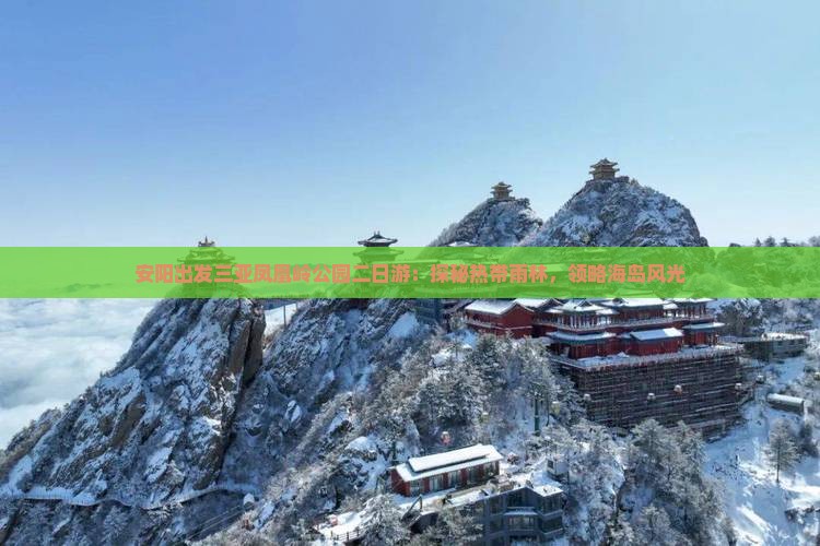 安阳出发三亚凤凰岭公园二日游：探秘热带雨林，领略海岛风光