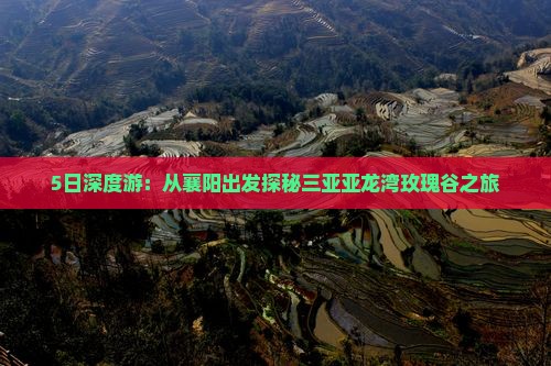5日深度游：从襄阳出发探秘三亚亚龙湾玫瑰谷之旅