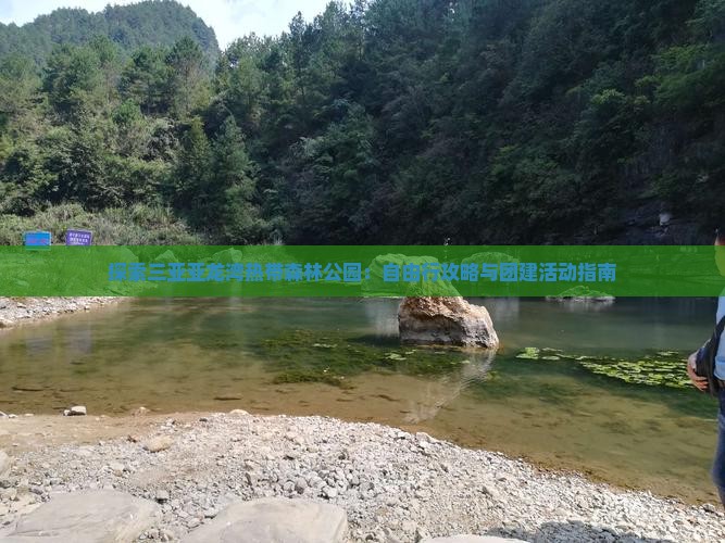 探索三亚亚龙湾热带森林公园：自由行攻略与团建活动指南