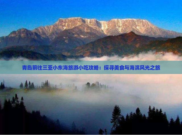 青岛前往三亚小东海旅游小吃攻略：探寻美食与海滨风光之旅