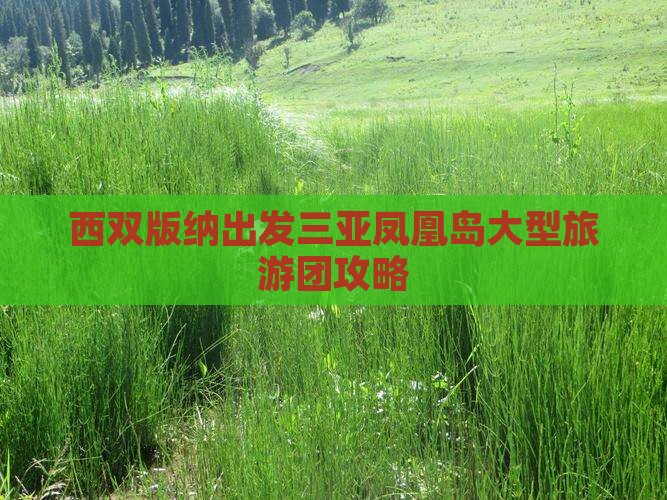 西双版纳出发三亚凤凰岛大型旅游团攻略