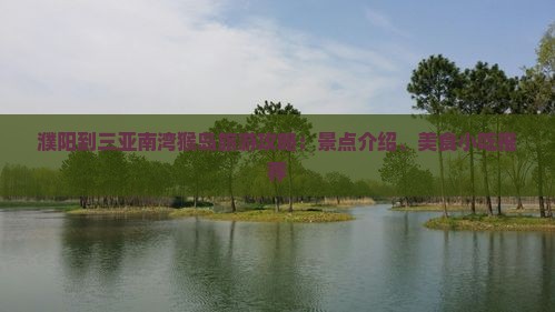 濮阳到三亚南湾猴岛旅游攻略：景点介绍、美食小吃推荐