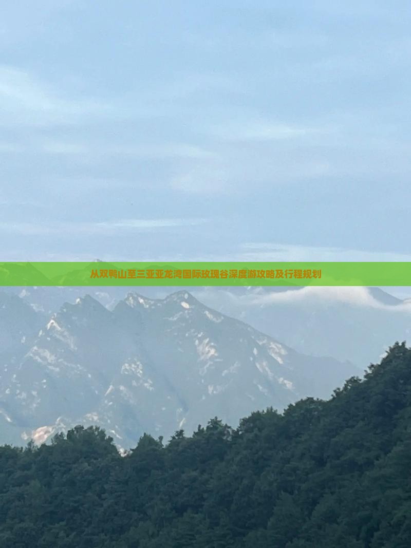 从双鸭山至三亚亚龙湾国际玫瑰谷深度游攻略及行程规划