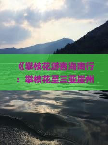 《攀枝花游客海南行：攀枝花至三亚崖州古城深度游攻略》