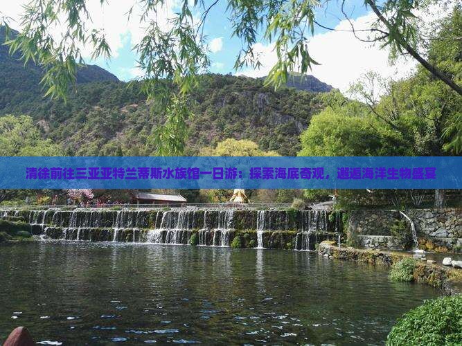 清徐前往三亚亚特兰蒂斯水族馆一日游：探索海底奇观，邂逅海洋生物盛宴