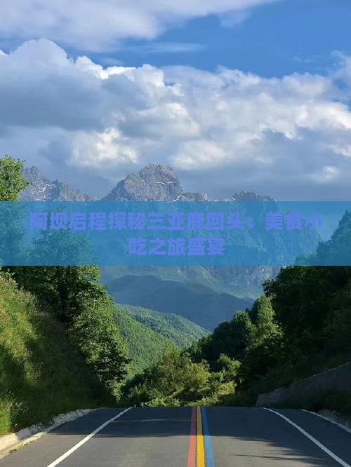 阿坝启程探秘三亚鹿回头：美食小吃之旅盛宴