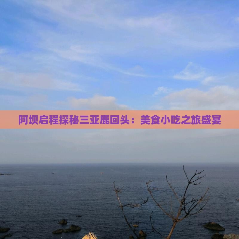 阿坝启程探秘三亚鹿回头：美食小吃之旅盛宴