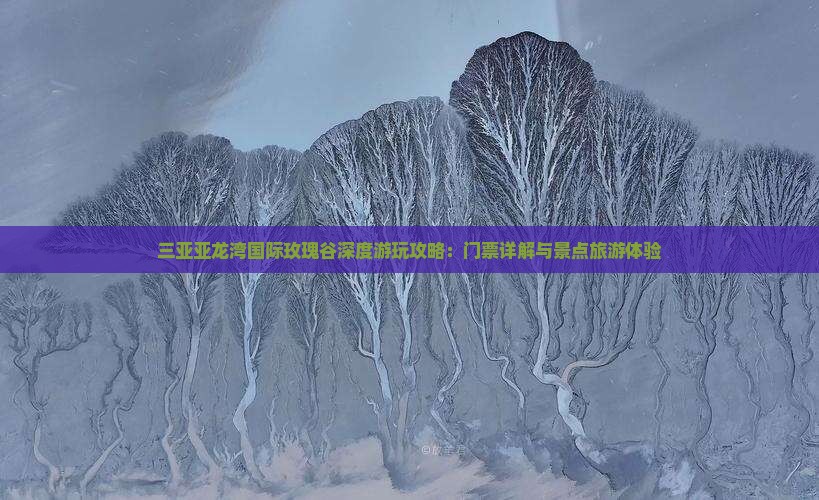 三亚亚龙湾国际玫瑰谷深度游玩攻略：门票详解与景点旅游体验