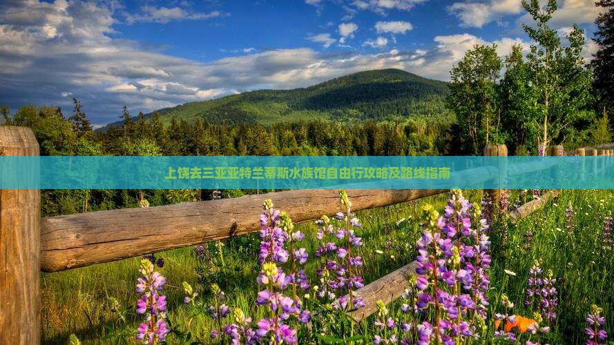 上饶去三亚亚特兰蒂斯水族馆自由行攻略及路线指南