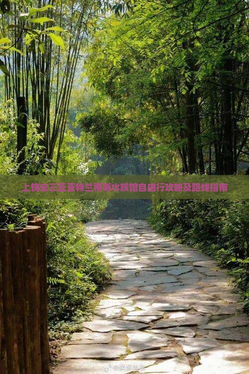 上饶去三亚亚特兰蒂斯水族馆自由行攻略及路线指南
