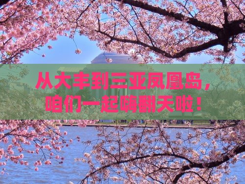 大丰出发三亚凤凰岛团体旅游 大丰出发三亚凤凰岛团体旅游