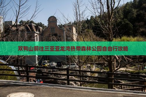 双鸭山前往三亚亚龙湾热带森林公园自由行 双鸭山前往三亚亚龙湾热带森林公园自由行